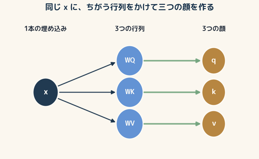 もとは一本の埋め込み x。学習で決まる3つの行列 WQ・WK・WV にかけて、問い q・見出し k・中身 v の3つの顔ができる。